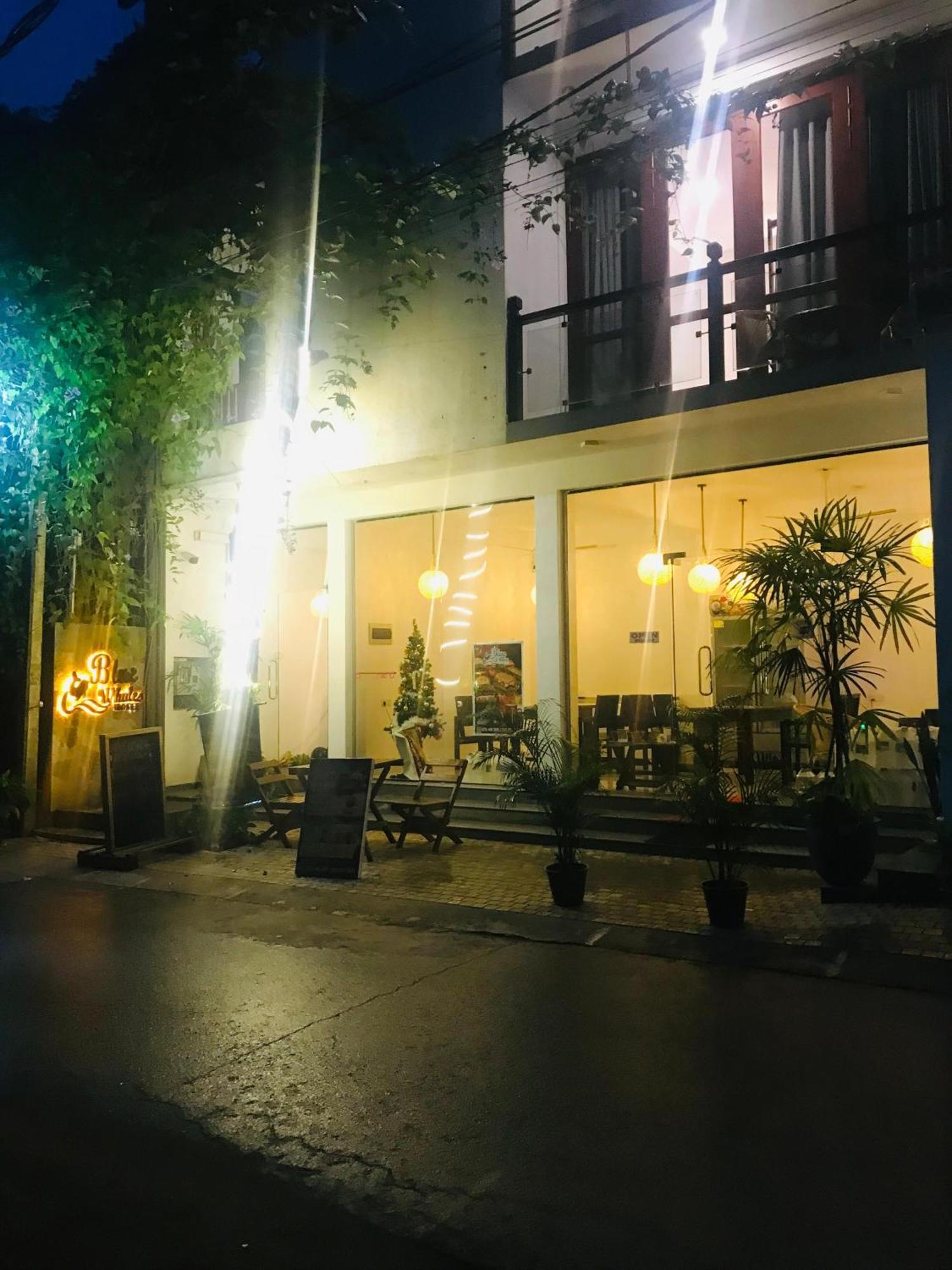 Blue Whales Hotel Hikkaduwa Exterior foto